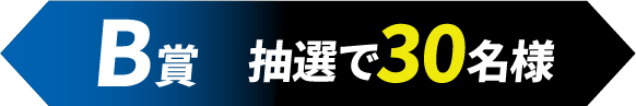B賞 抽選30名様